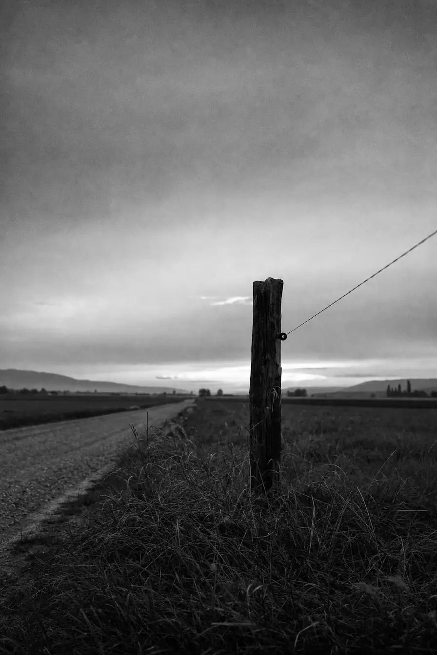 Verwitterter hölzerner Anschlagpfosten an einer Landstrasse in der Dämmerung, ohne Aushang (AI-generiertes Bild)
